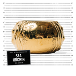 Sea Urchin - Gold Plated