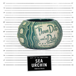 Sea Urchin - Green